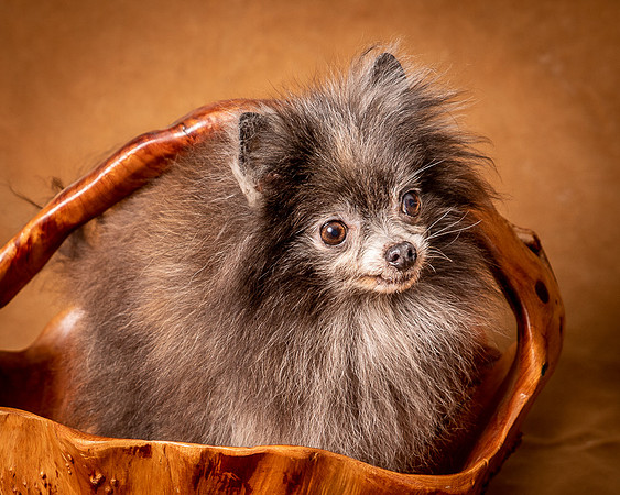 Foster Loretta-1327