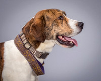 Foster Daniel-6357