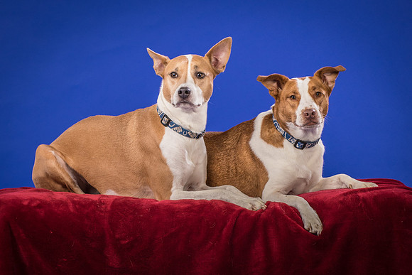 Urschel-Ethel and Ruby-9710