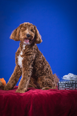 Fisher-Gryffin-8925