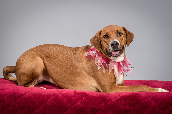 Foster Holley-4113