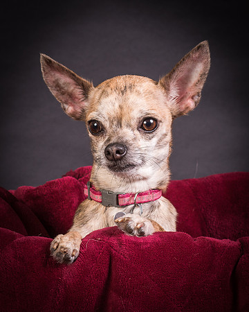 Foster Selina-1130