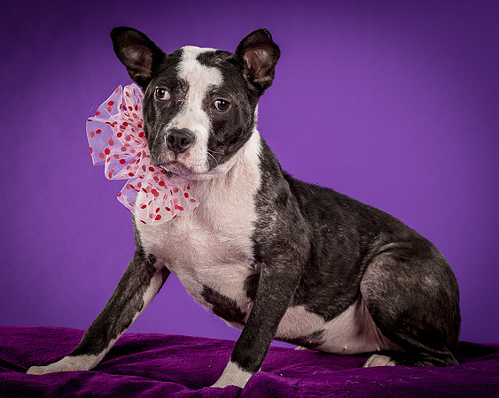 Foster Claire-4202
