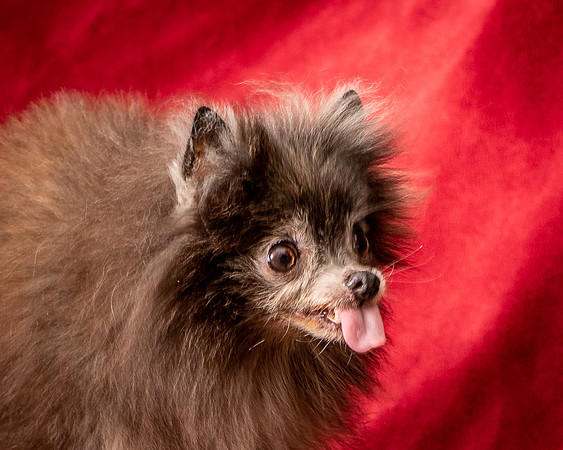 Foster Loretta-1384