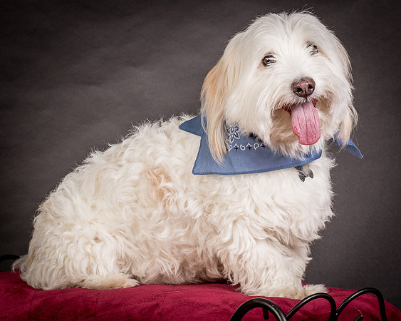 Foster Frosty-0569