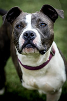 Foster Maya-0228