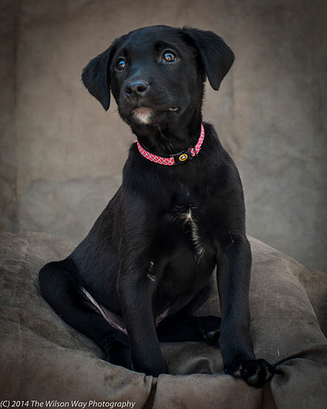 Foster Gumby-2387