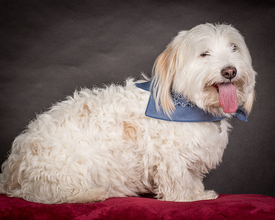 Foster Frosty-0557