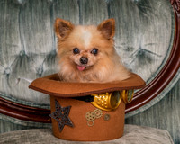 Foster Horace-0784