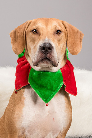 Foster Troy-6277
