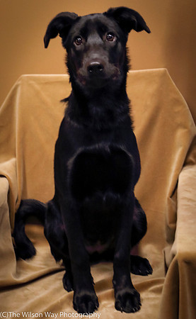 Foster Nadirah-0537