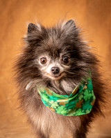 Foster Loretta-1244