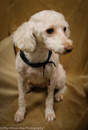 Foster Loretta-0240