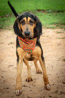 Jethro-0854