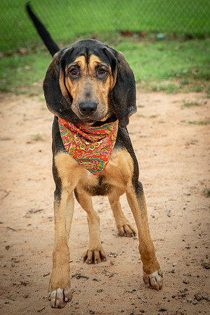 Jethro-0854