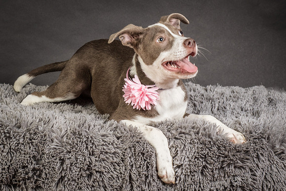 Foster Ari-8561