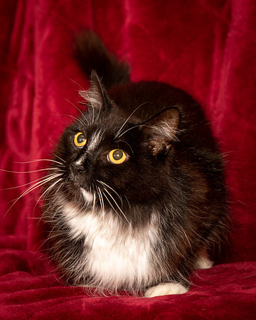 Foster Hershey-9477