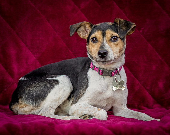 Foster Buffy-5558