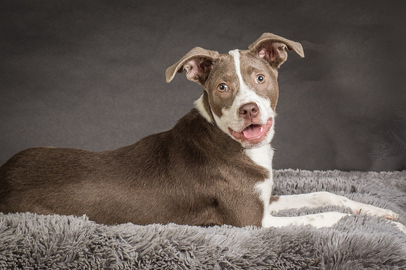 Foster Ari-8529