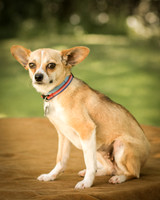 Foster Charisma-7069