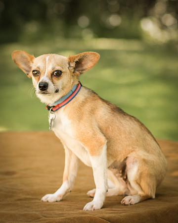 Foster Charisma-7069