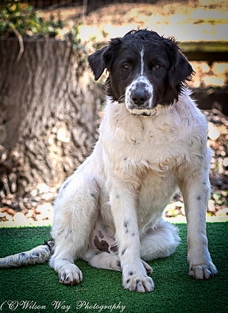 Foster Duncan-4892