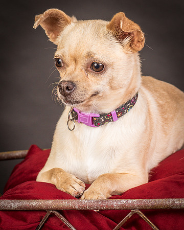 Foster Brielle-0043
