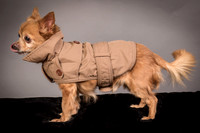 Foster Pancho-9466