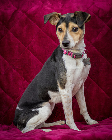 Foster Buffy-5510