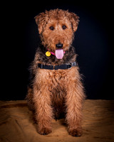 Dixie Lou-5630