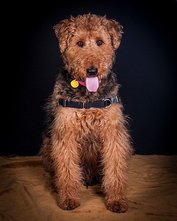 Dixie Lou-5630