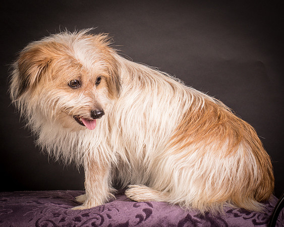 Foster Tiny-1416