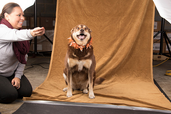 Calendar Bloopers-9401