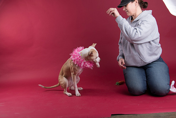 Calendar Bloopers-9038
