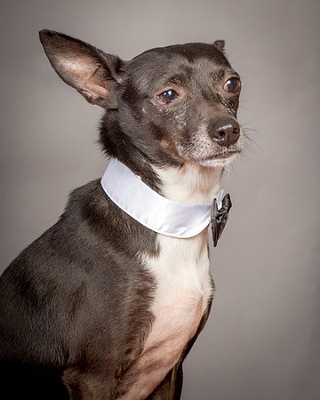 Foster Luc-5223