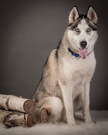 Foster Aspen-7667