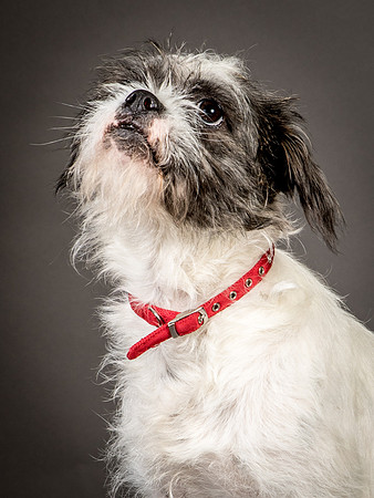 Foster Leeza-2651