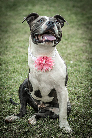 Foster Maya-0340