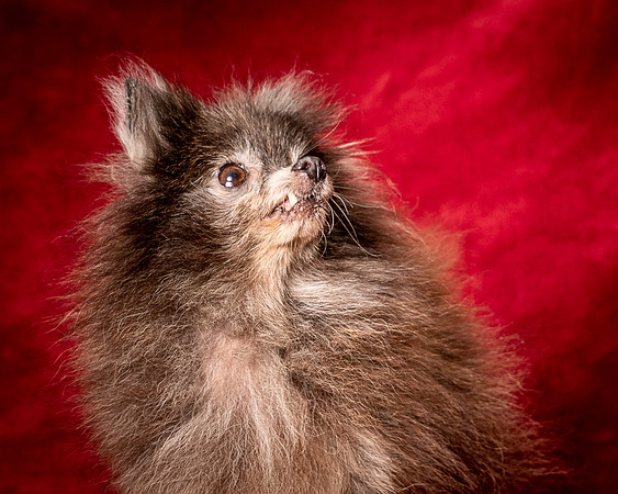 Foster Loretta-1353
