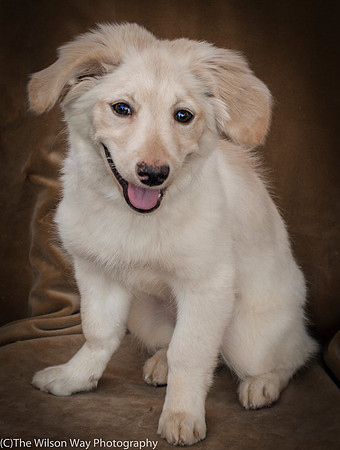 Foster Stephanie-9623