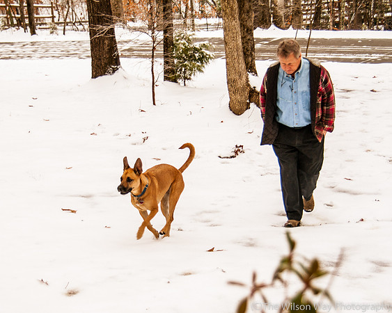 Roxy in the snow-4688
