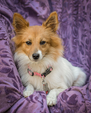 Foster Brandi-3169