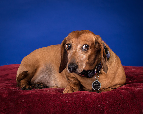 Abrams-Jimmy Dean-8274