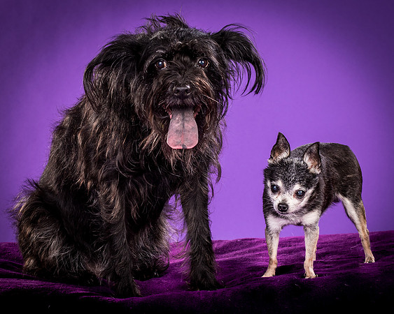 Naya And Rhumba-4772