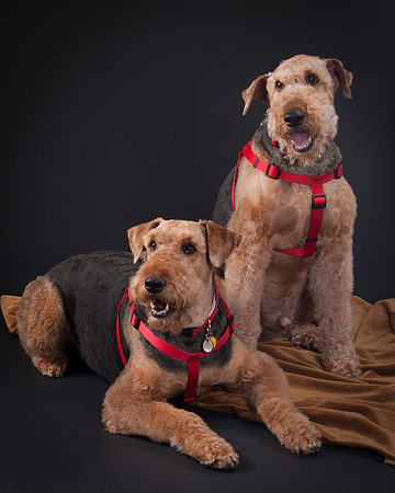 Martha May & Smitty-5204