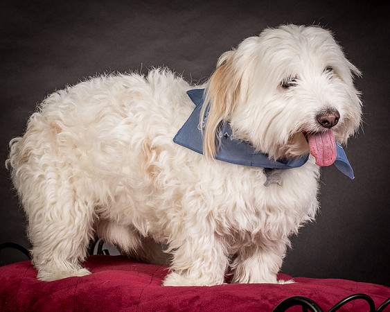 Foster Frosty-0558