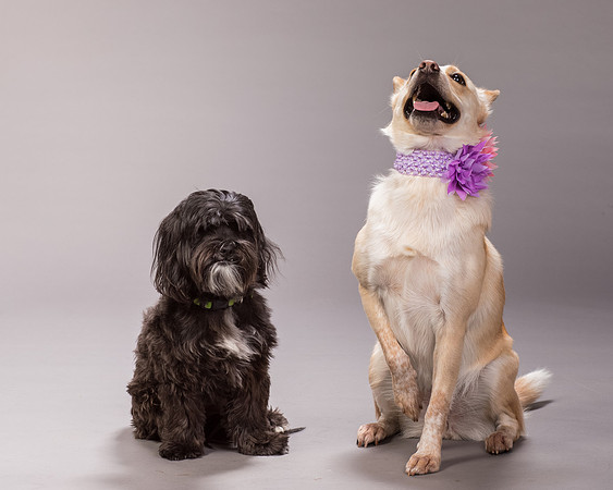 Maggie and Henry-7134
