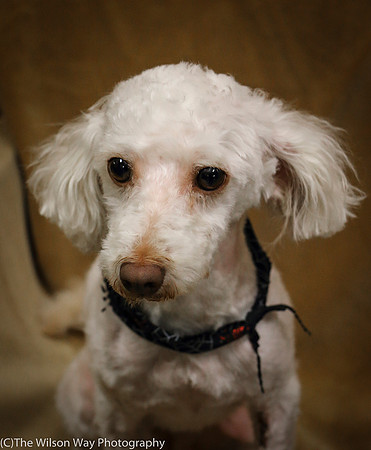 Foster Loretta-0211