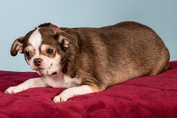 Foster Sophie-5213