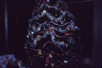 Labrec Family Slice Scan2 - 1981